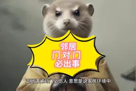 门对门必伤人，贴门神还是挂镜子呢，进来看看我告诉你正确破除法视频封面