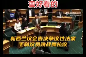 毛利战舞抗议气势不能输
#毛利战舞震撼场面#毛利战舞#新西兰议会视频封面