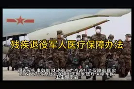 残疾退役军人医疗保障办法