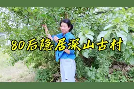 80后隐居深山两年，一个人每天干农活自给自足，不用钱也能吃水果