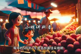 小孩每天能吃几颗荔枝？