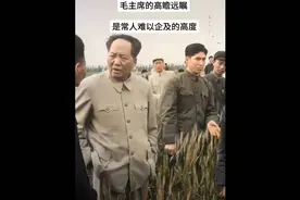 毛主席高瞻远瞩的眼光，是常人无法企及的高度视频封面