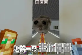 #我的世界 今天挑战一只悲伤鼠鼠～是粉丝的可爱表情包哦视频封面
