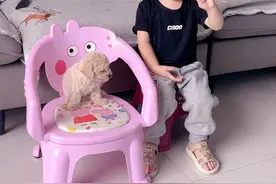 十一与毛毛的合影视频封面