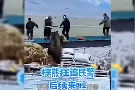 #惊险一刻# 熊追赶民警的惊险瞬间，快点击视频看精彩后续！视频封面