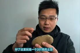 拿土豆当控糖主食怎么样呢？吃个200克土豆看血糖有啥变化！视频封面