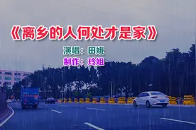 田娥一首《离乡的人何处才是家》伤感催泪，唱出了离乡人的辛酸视频封面