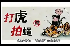 #公安网安小虎行咎由自取 #诈骗团伙落网 #小虎行 #热点新闻事件