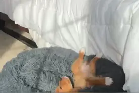 Tiktok 美区达人带货视频拍摄