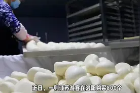 洛阳馒头火！江苏游客800个打包，河南喊话冷冻视频封面