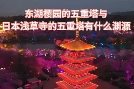 东湖樱园的五重塔与
日本浅草寺的五重塔有什么渊源视频封面