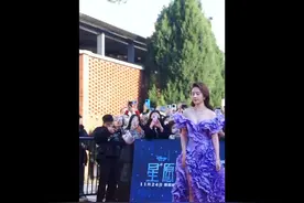 刘亦菲紫色百褶公主裙亮相迪士尼星愿望首映红毯，犹如迪士尼公主视频封面