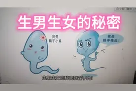 生男生女由谁决定的？别再傻傻的怪女人了 ，知识改变命运 ！视频封面