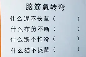 脑筋急转弯，什么泥不长草，什么布剪不断，什么鹅不怕冷？