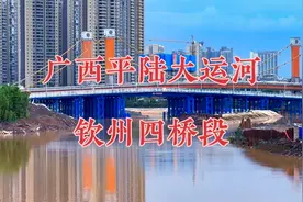 广西建设平陆大运河，过时了？不会！还要建湘桂、浙赣粤大运河呢视频封面