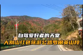 你知道大别山最美公路吗？湖北黄冈这条适合自驾的路线值得你来。视频封面