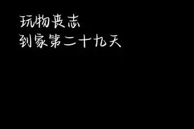 @星大头 旺财到家第二十九天，应该很快就会飞了视频封面