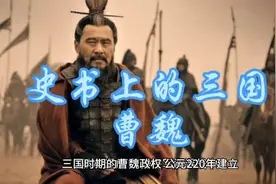 史书上的三国之曹魏视频封面