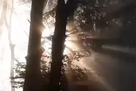 一首精选纯音乐，愿你抬头遇见的都是柔情！视频封面