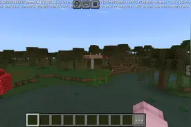 我的世界:这狗子穿上狼铠后，狼铠所承受的伤害是无限的！