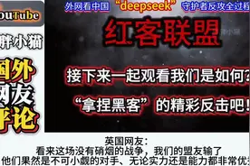 外网看：chatqpt是如何被吊打的! deepseek打 的对方没脾气视频封面