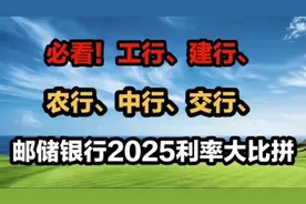 必看!工行、建行、农行、中行、交行、邮储银行2025利率大比拼视频封面