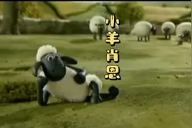 小羊肖恩视频封面