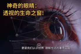 神奇的眼睛：透视的生命之窗
