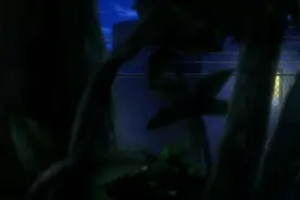约会大作战第四季第一集（1）视频封面