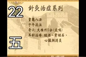【汉唐倪师】针灸治症5灵龟八法子午流注奇穴定喘耳针心脏肾结石视频封面