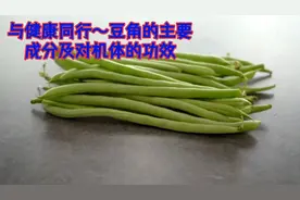 与健康同行～豆角的主要成分及对机体功效视频封面