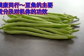 与健康同行～豆角的主要成分及对机体功效视频封面