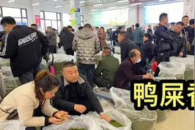 第一次喝到那么香的茶叶，凤凰单枞“鸭屎香”，真不愧是茶中香水