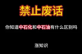 禁止废话：你知道中石化和中石油有什么区别吗视频封面