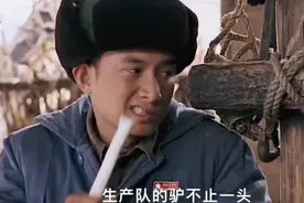 生产队的驴视频封面