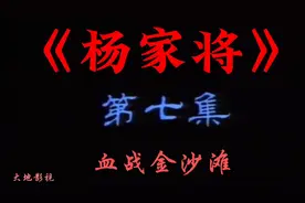 怀旧经典影视《杨家将》之血战金沙滩(双龙会)！视频封面