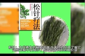 松针：古代养生的秘密武器，今天你为何不了解它？视频封面