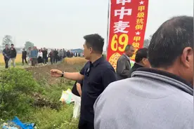 河南大部分小麦出现减产，几百村民参观大叔种的麦，每亩1600农，视频封面