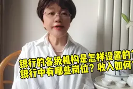 银行有哪些直属机构？前后台各有哪些岗位？收入如何？视频封面