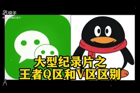 大型纪录片王者V区和Q区区别！ #王者荣耀视频封面