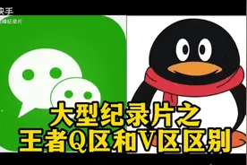 大型纪录片王者V区和Q区区别！ #王者荣耀视频封面