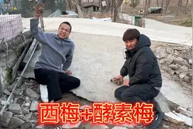 姐夫和小舅子抢姐姐西梅干和酵素梅吃，结果拉的根本停不下来！