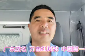 广东茂名  万亩红树林  中国第一滩视频封面