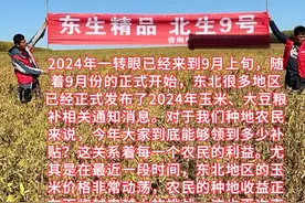 2024粮食补贴究竟多少？视频封面