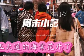五大道的海棠花开了视频封面