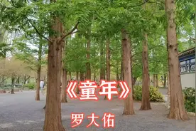 罗大佑1974年创作歌曲《童年》一个时代的经典，更是一代人的回忆视频封面