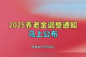 2025年养老金调整通知即将公开！视频封面