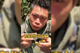 平头哥挑战老挝热带雨林(四)视频封面
