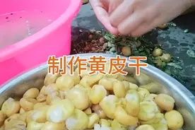 这样晒出来的黄皮干我可以吃到明年夏天。视频封面