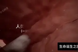 一次性看完生命诞生的全过程，真的很神奇生命诞生分娩科普